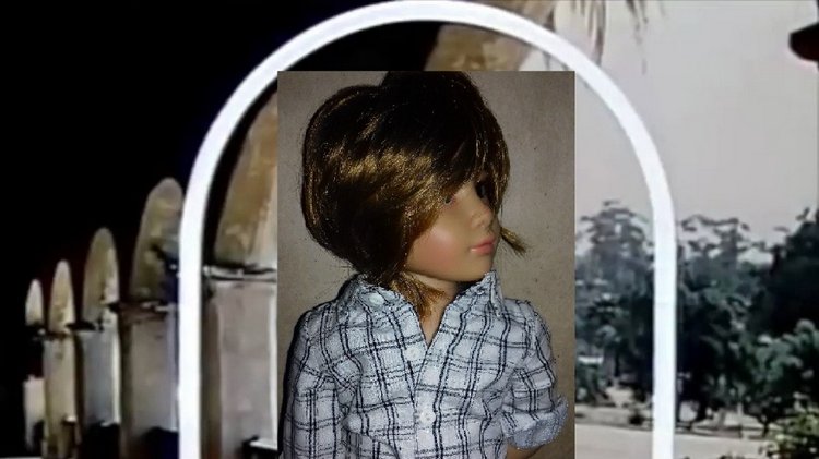 Сельская Санта-Барбара (Качан) (фото 2)