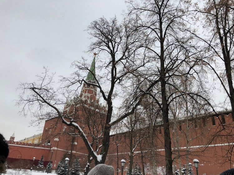 Москва предновогодняя... выставка новогодних елок в ГУМе - очень красиво (фото 8)