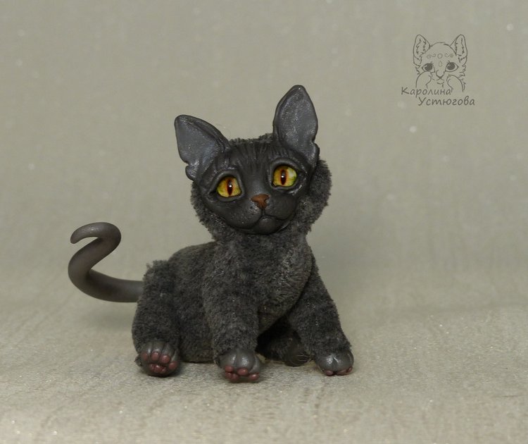Миниатюрные серые Сфинксы