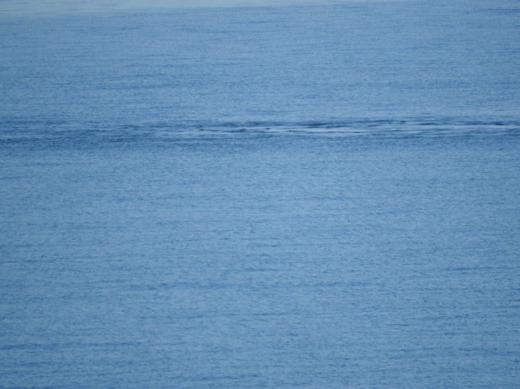 Сочи-Адлер: Южное Взморье - Красоты Черного Моря