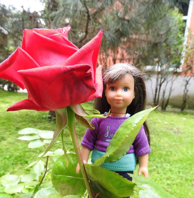 Сочи-Адлер: Южное Взморье - Мои любимые куколки на отдыхе