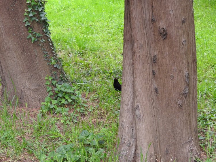 Сочи-Адлер: Южное Взморье - виртуальное путешествие по территории санатория