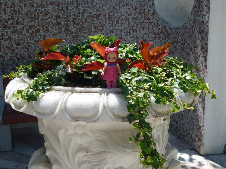 Сочи-Адлер: Южное Взморье - Мои любимые куколки на отдыхе