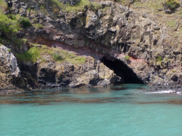 Увлекательное путешествие по Новой Зеландии