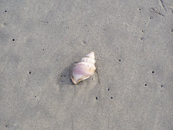 Увлекательное путешествие по Новой Зеландии