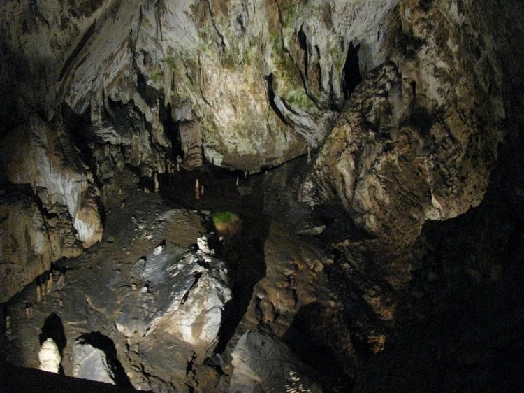 Незабываемая экскурсия по Словении: Постойная Яма и Предъямский замок (фото 8)