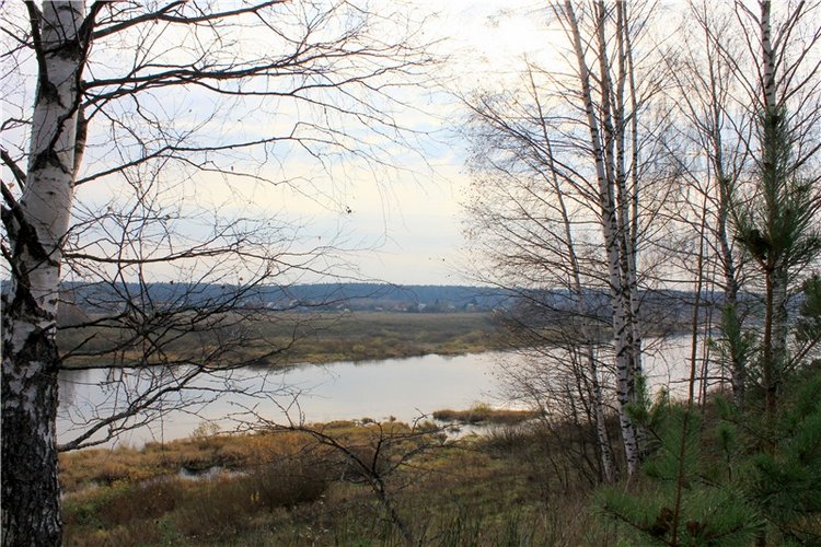 Гришутка — Винтажные куклы ГДР (Немки): Бигги