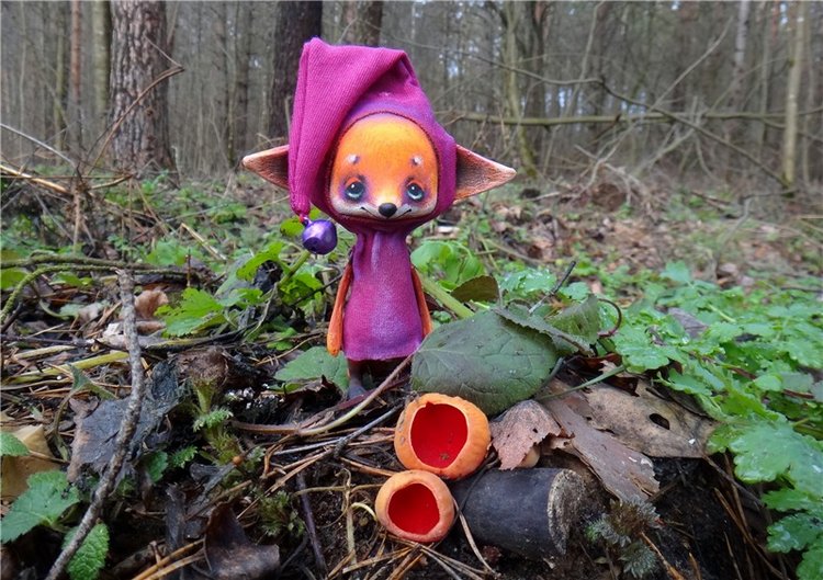 23 февраля - расцвели синие подснежники (фото 2)