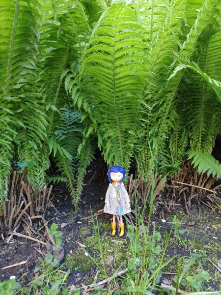 Коралина Джонс — Фигурки NECA (Нека): Коралина (фото 4)