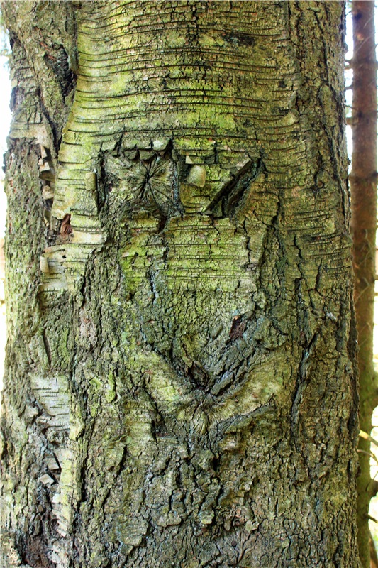 Савватьева Пустынь, Тверская область