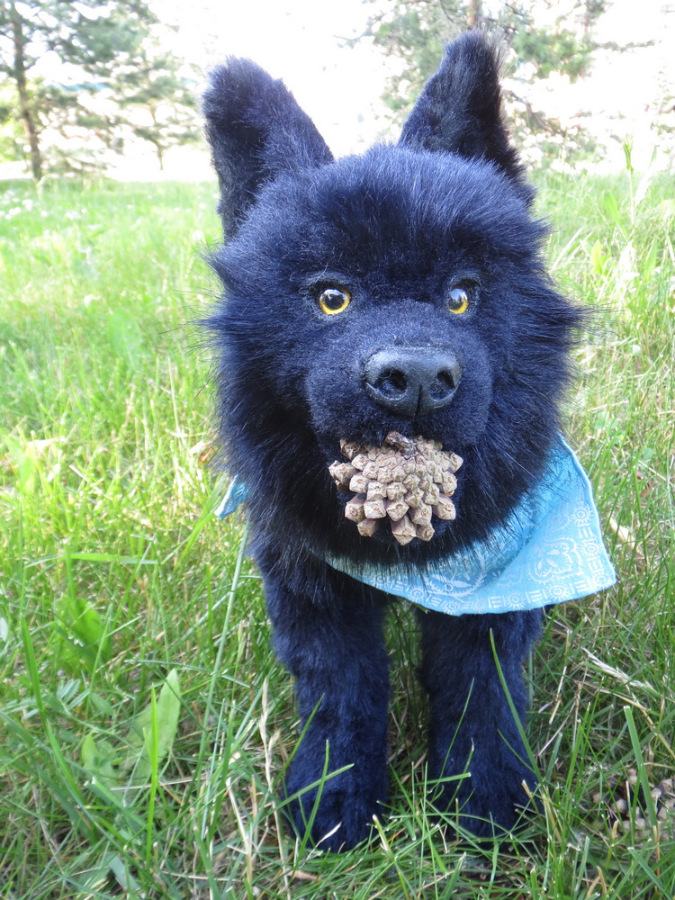 Мой домашний волчок — Домашние фото авторских игрушек: Тедди (фото 10)