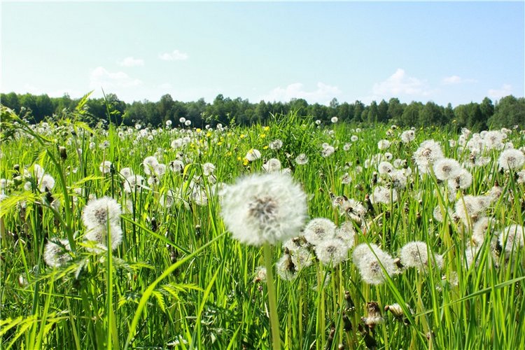 Из Чукавино в Старицу — Культура (фото 5)