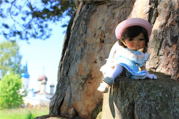 Иванишинская сосна — Культура