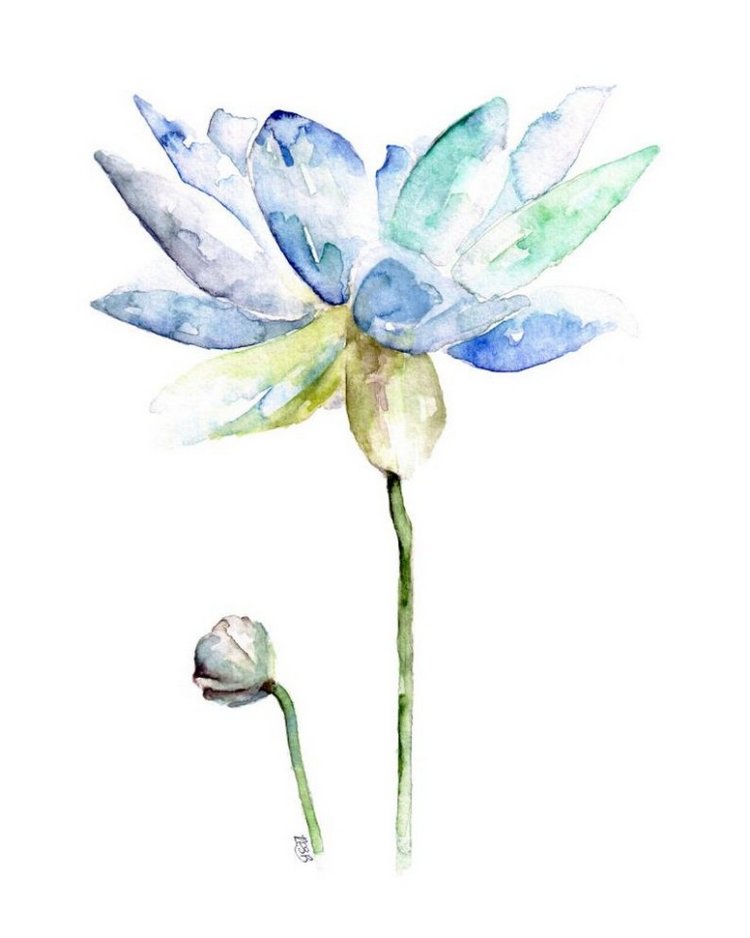 TheColorfulCatStudio - Иллюстрированная флора by Rachel Byler