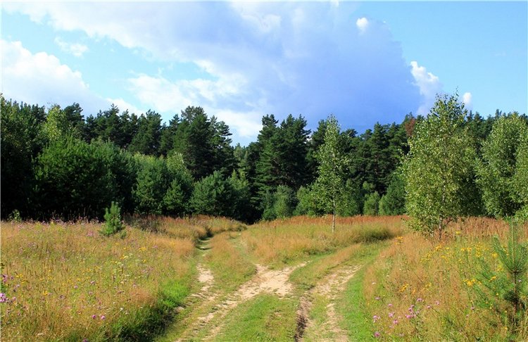Эдельвейс на пленэре — Антикварные куклы ABG (Alt