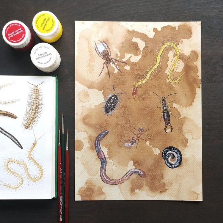 SnailMaidenStudio - Акварельные иллюстрации маленьких живых существ (фото 8)