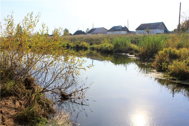 Путешествие Dal Hangry в Грузины