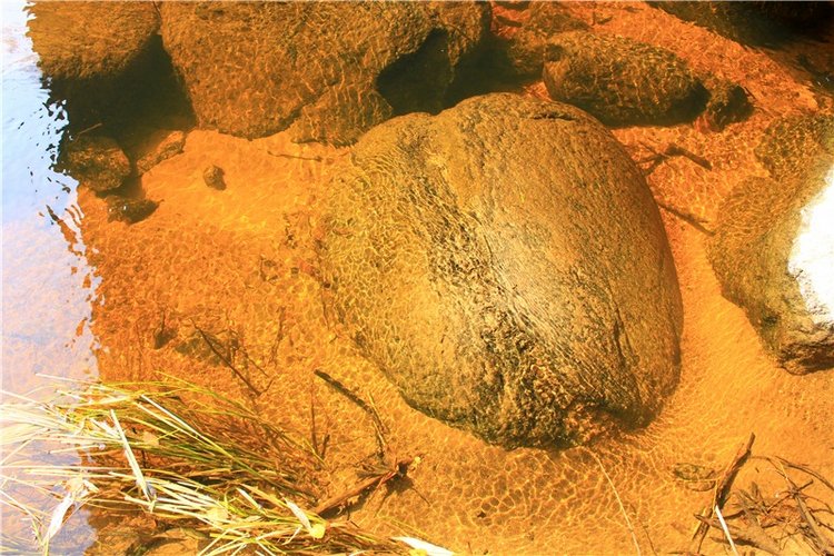 Путешествие Dal Hangry в Грузины