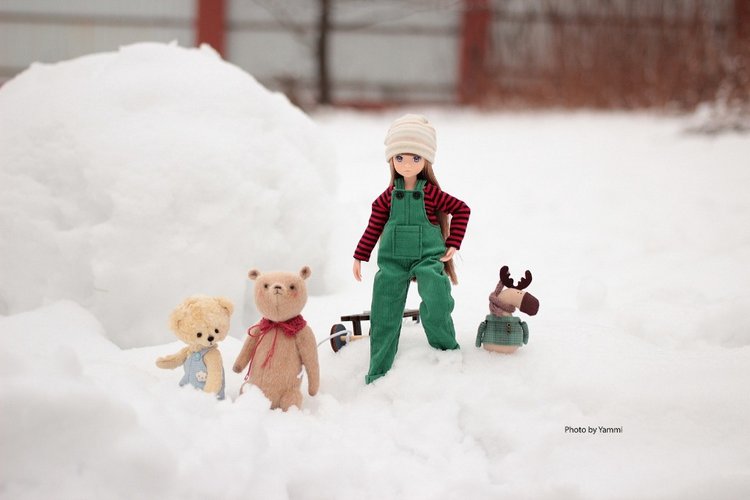 Новогодние каникулы в деревне