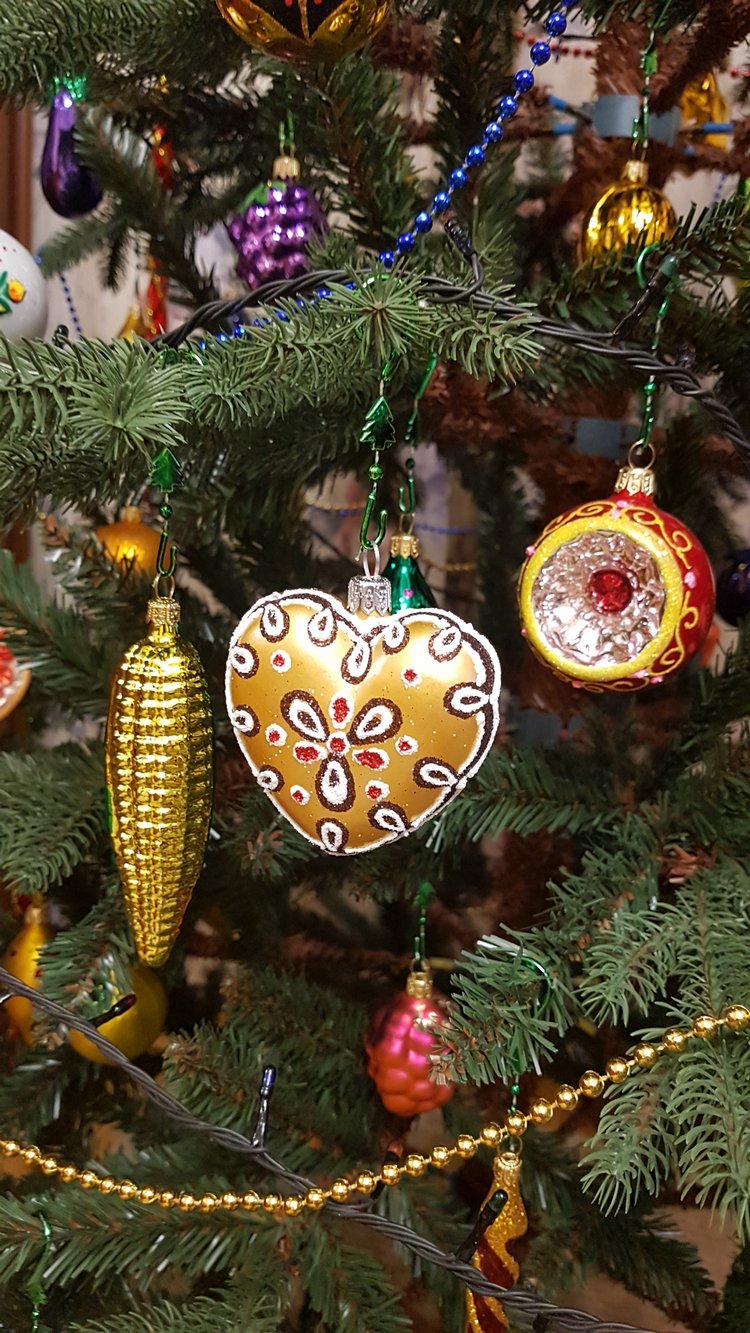 В степи родилась ёлочка, в жару она росла (фото 3)