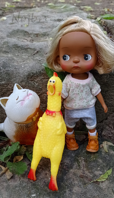 Holala Pipita Peter — Куклы Holala (Холала) от Jenny Fairytown: Pipita