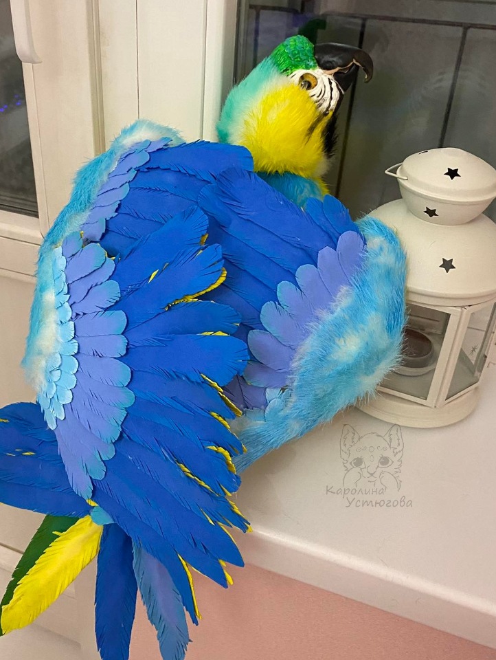Попугай Ара. Желто-голубой