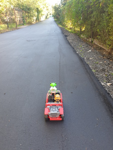 Лягушка Ванда и все-все-все