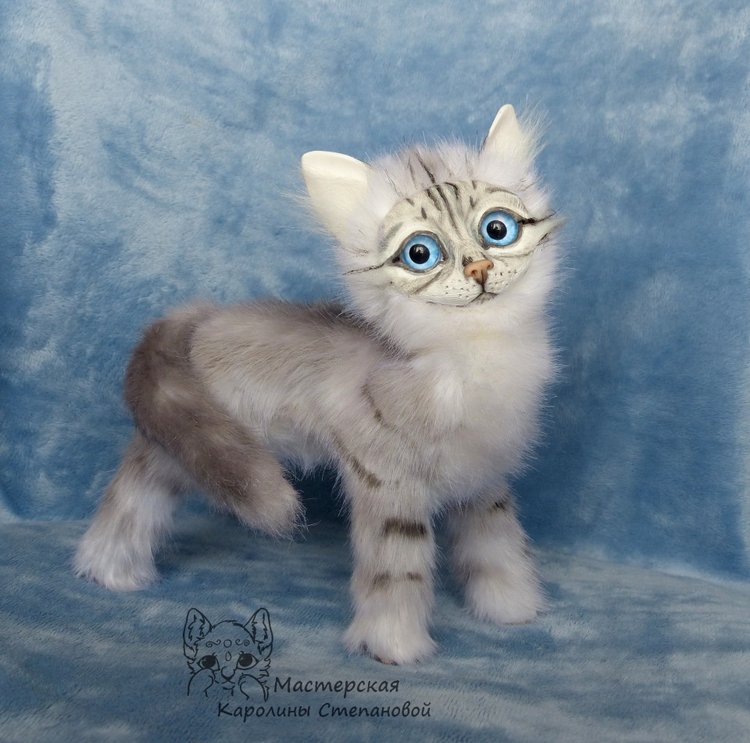 Невские Маскарадные коты серебристого окраса и Совята