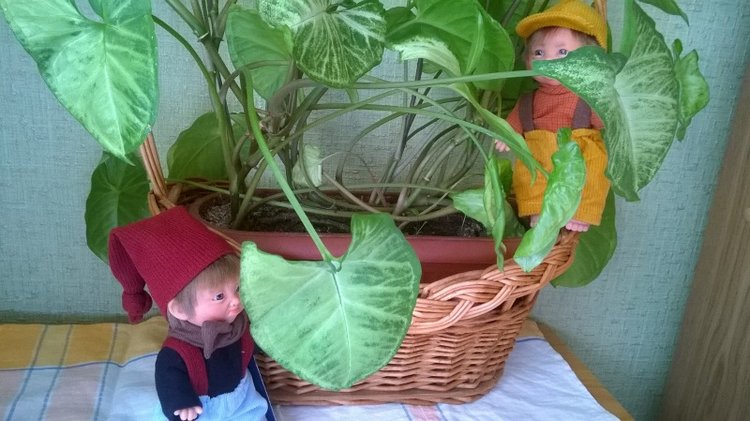 Мечты всё таки сбываются — Испанские куклы (разное): Vestida de Azul