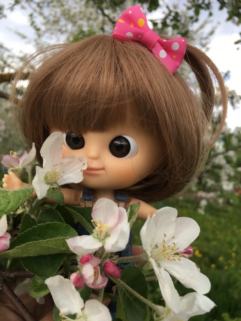 Поездка на дачу с Mui-chan, Migliorati и Sonny angel