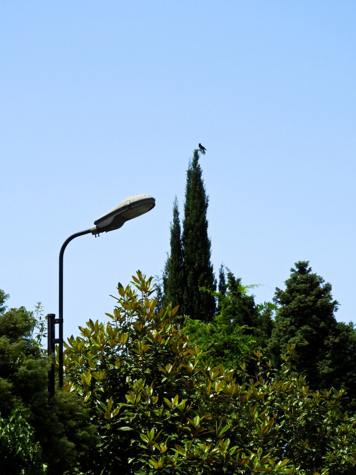 Краснодарский Край, Сочи-Адлер, Санаторий «Южное Взморье»