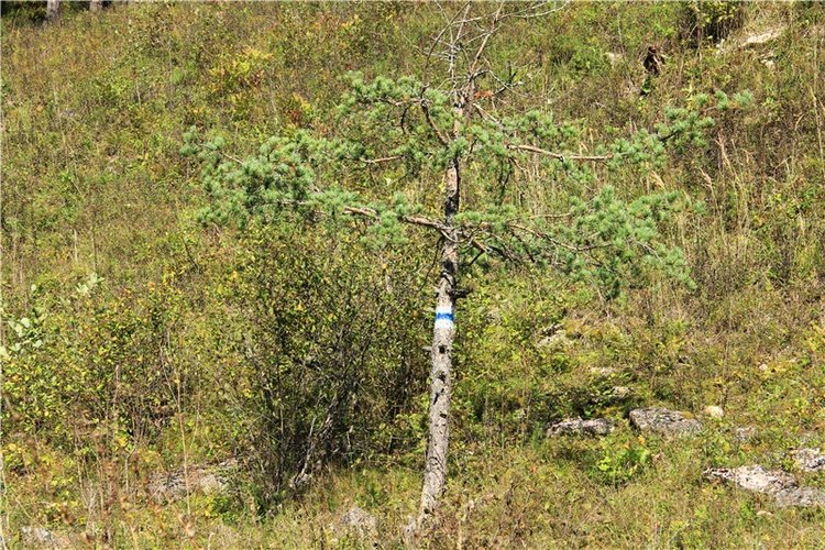 Старицкая Швейцария. Старицкие пещеры, д. Толпино, заключительная часть