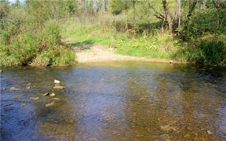 Старицкая Швейцария. Путешествие с Сашей, продолжение. Уникальная кукла от Сильвии Наттерер
