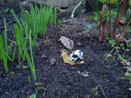 Что такое гасяпон — Домашние фото авторских игрушек: Тедди (фото 10)