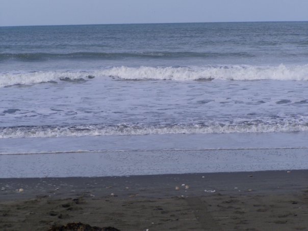 Увлекательное путешествие по Новой Зеландии