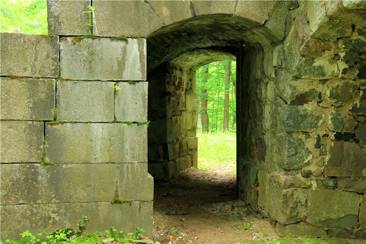 Путешествие с Бенни — Культура