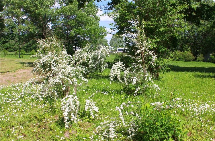 Я к Вам лечу воспоминаньем...Пушкинский праздник поэзии в Берново, 2019 год