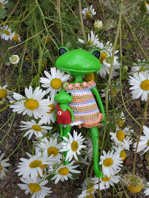 Wonderfrog. Красота в простоте