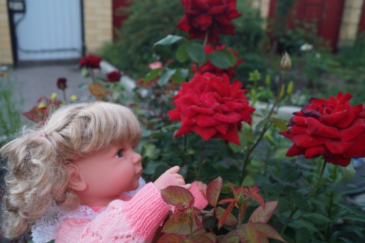 Катя сходила в гости — Интересные игрушки и фигурки (разное): редкие (фото 9)