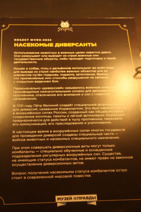 Петербург. Музей НЕправды (18+). Часть 1