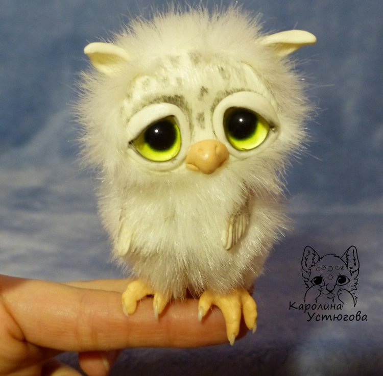 Совята в ожидании Новогодних праздников