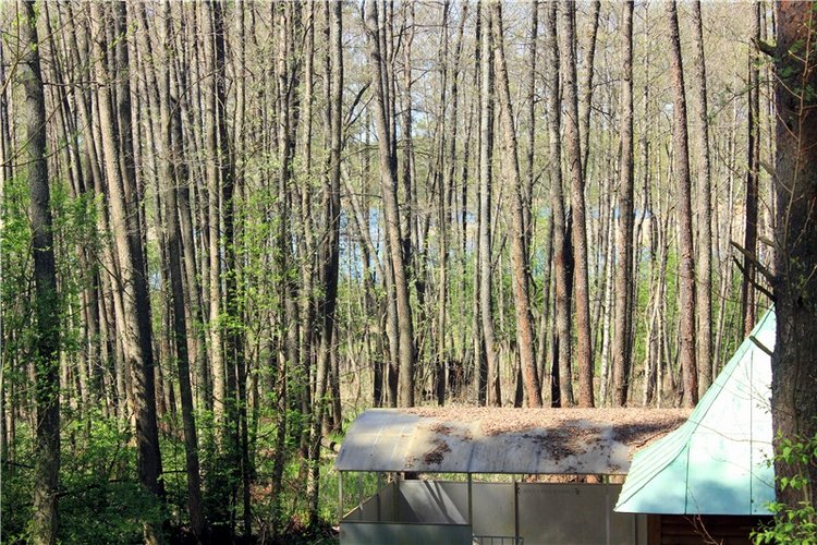 Путешествие Софи в Старицу. Lati HoneyBee New Mystic Sophie