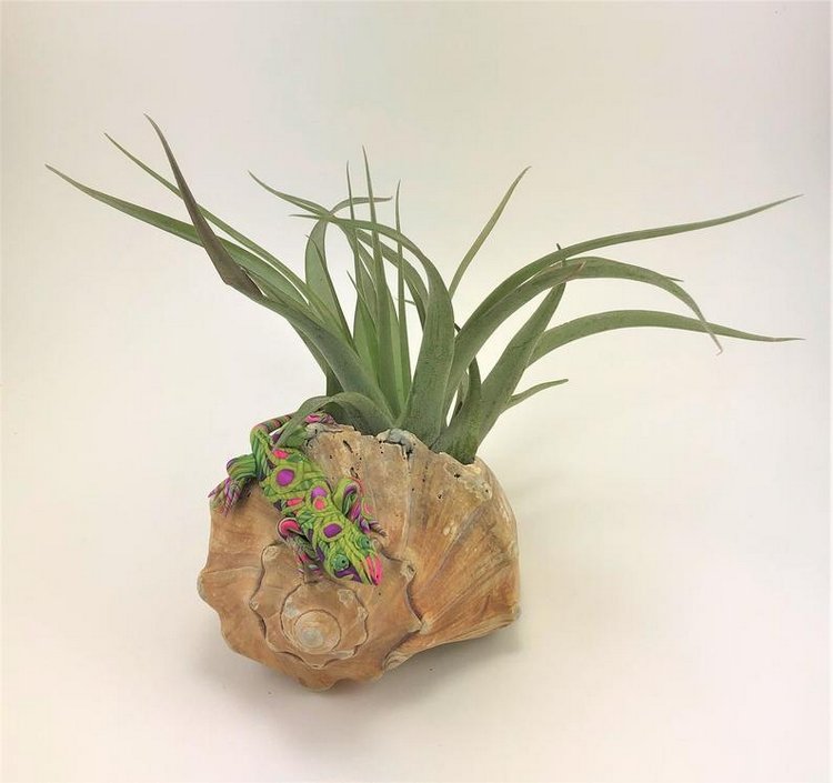 Sandysmallwonder - Авторские скульптуры из полимерной глины by Sandy Lehman - ч.1 (фото 6)