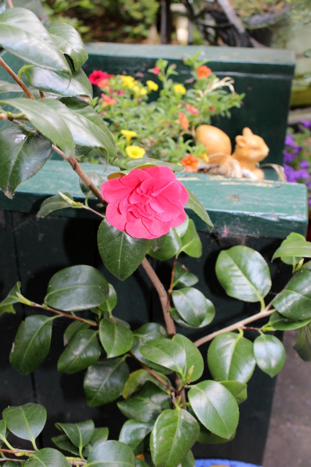 Любовь нечаянно нагрянет — Фэшн