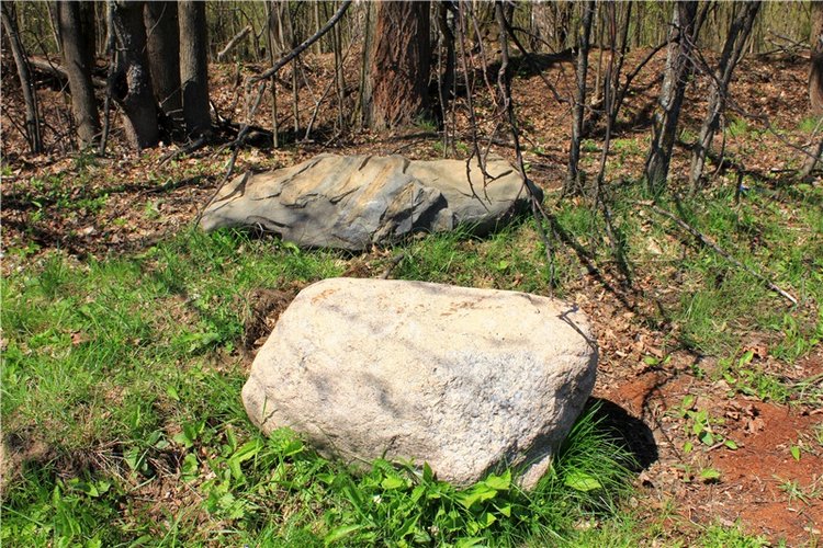 Путешествие Софи в Старицу, продолжение. Lati HoneyBee New Mystic Sophie