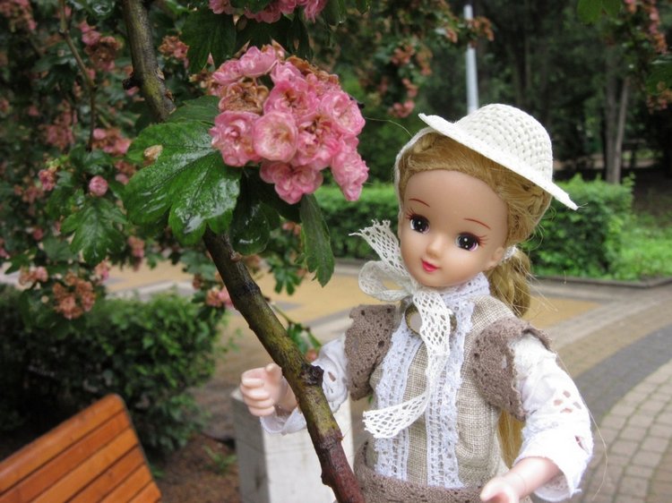 Утренний летний дождь — Куклы Takara Tomy (Такара): Licca (Ликка) (фото 5)