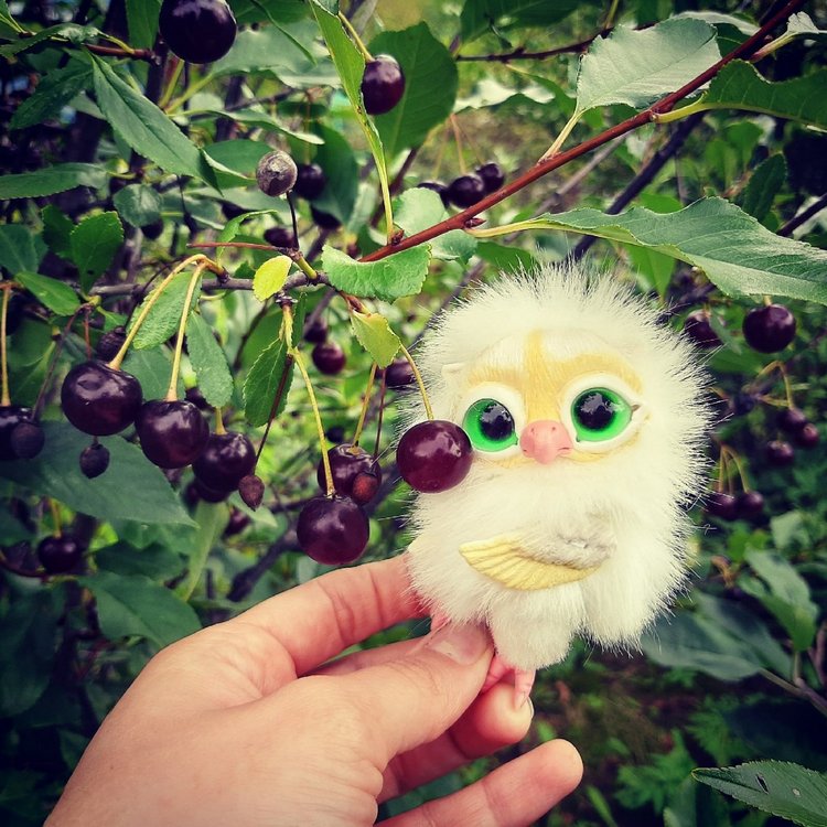 Последние денечки лета.... Совенок Желточек, дача и другие дачные жители (фото 5)