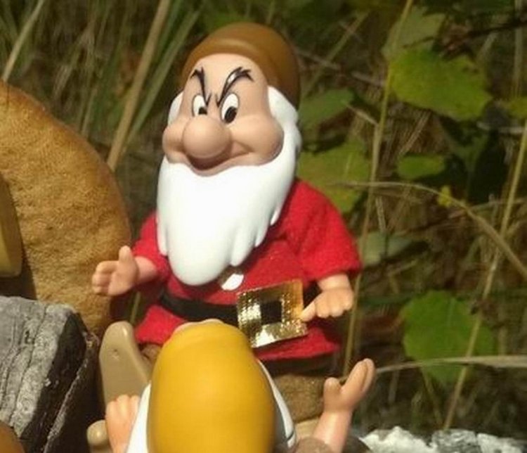 Осеннею порой под старою сосной... Принц, Белоснежка и гномы... встречаются