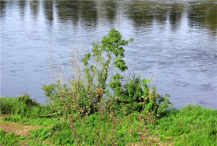 Сентябрьское путешествие в Старицу, четвёртая часть