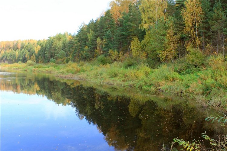 Путешествие Имани на Волгу, продолжение. Mini Imani от Kaye Wiggs (фото 3)